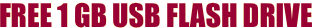 FREE 1 GB USB FLASH DRIVE 